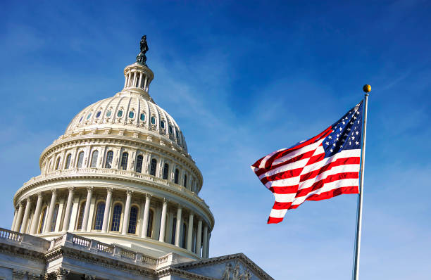 Image of Capitol Building and American flag