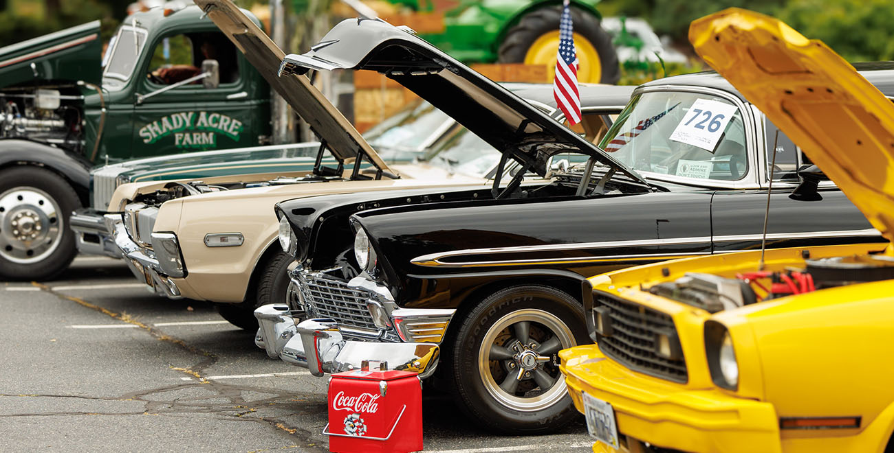 All-Vehicle Show