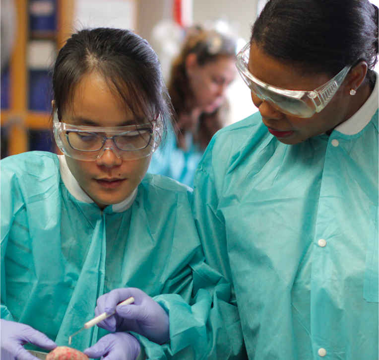 Surgical Technology Students in gear