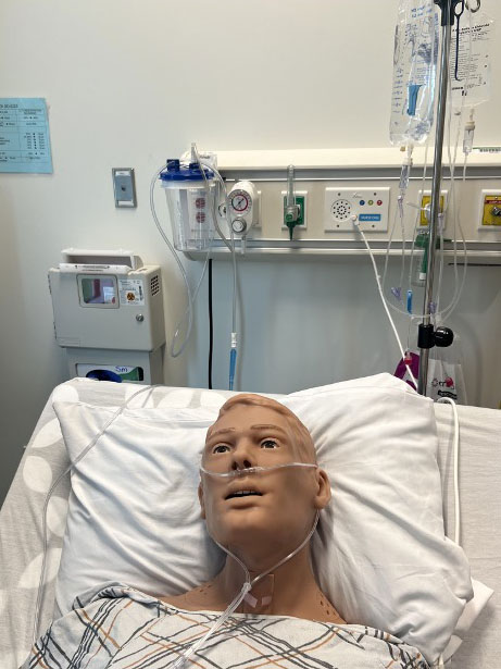 adult health simulation figue