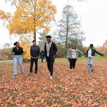 Students in leaves