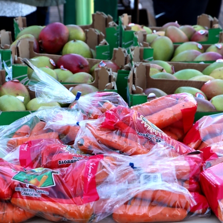 Food resources