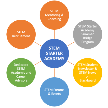 STEM Starter Academy, Six Goals