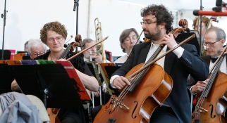 wellesley symphony orchestra