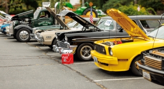 All Vehicle Show