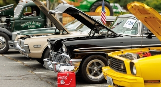 All-Vehicle Show