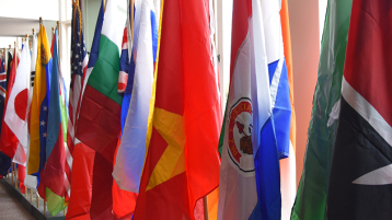 International Flags 