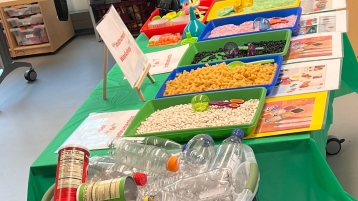 ECE materials